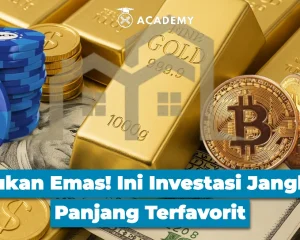Aset Aman Investor