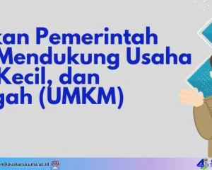 Inisiatif Pemerintah Mendorong UMKM