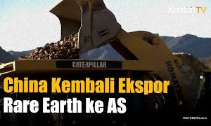 Rare Earth